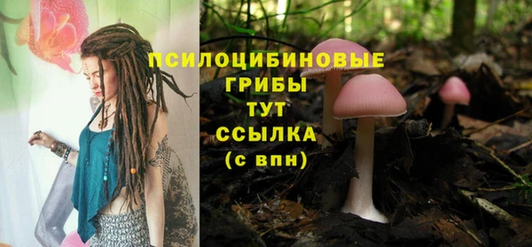 соль курить ск Гусь-Хрустальный