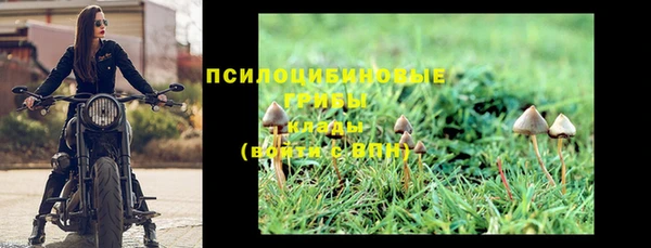 соль курить ск Гусь-Хрустальный